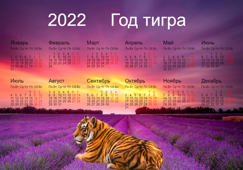 Календарь на 2022 год - год тигра. Тигр на фоне цветущего...