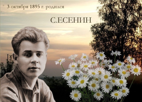 С днем поэзии! 3 октября 1895 г. родился С. Есенин. Ромашки