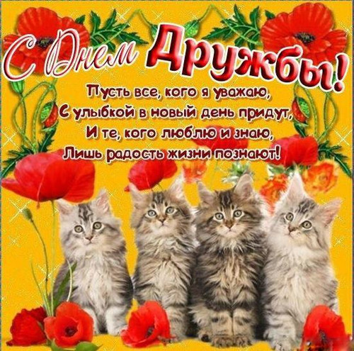 Открытка. С Днем Дружбы! Котята и цветы