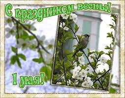 С праздником Весны 1 мая! Птица на цветущей ветке