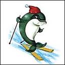  <b>Дельфинчик</b> на лыжах - олимпиада в Сочи  гифка анимация