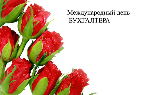 Международный день бухгалтера! Красные розы!
