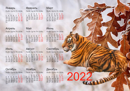 Календарь на 2022 год - год тигра. Тигр отдыхает у дерева