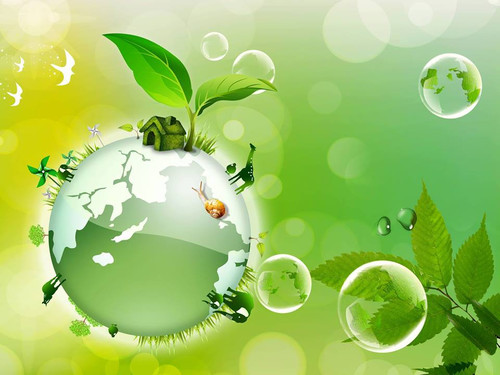 Сегодня — Всемирный день охраны окружающей среды