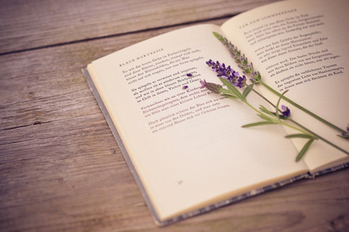 21 марта Всемирный день поэзии! Книга стихов и цветок!