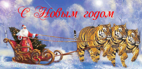 С Новым годом! Дед Мороз на тройке тигров!