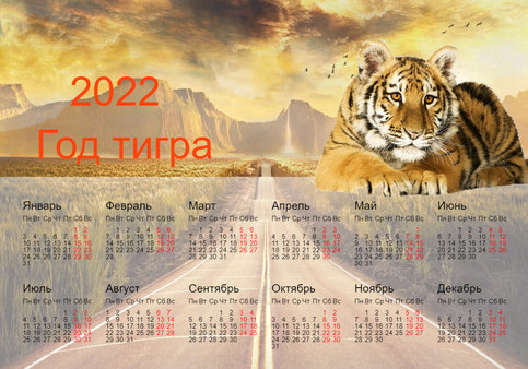  Календарь на 2022 год - год тигра. Тигр смотрит в <b>будущее</b>  гифка анимация