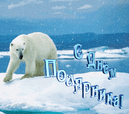  21 мая День Полярника.Белый медведь на <b>льдине</b>  гифка анимация