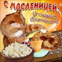 Картинки к Масленице. С Масленицей! Угощайся блинчиком